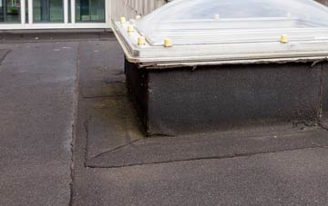 disadvantages of Murieston flat roofs